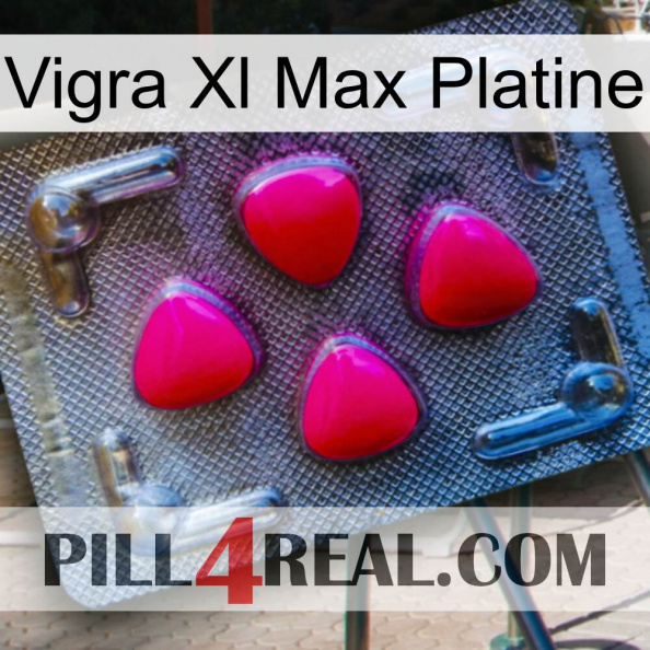 Vigra Xl Max Platinum 13